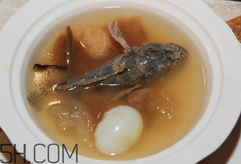 松江鱸魚(yú)哪里有？松江鱸魚(yú)什么季節(jié)吃最好