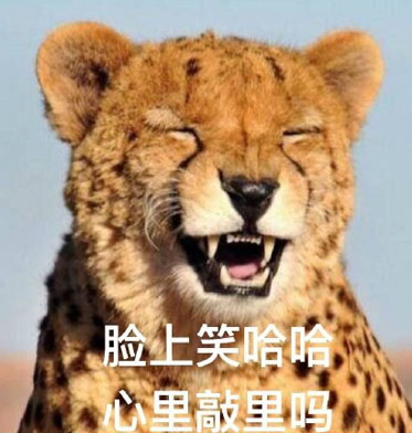 敲里lailai是什么意思？敲里lailai表情包無(wú)水印