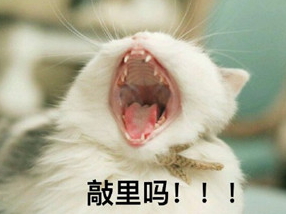 敲里lailai是什么意思？敲里lailai表情包無(wú)水印