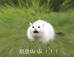 敲里lailai是什么意思？敲里lailai表情包無(wú)水印