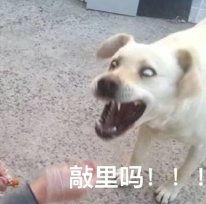 敲里lailai是什么意思？敲里lailai表情包無(wú)水印