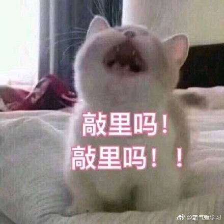 敲里lailai是什么意思？敲里lailai表情包無(wú)水印