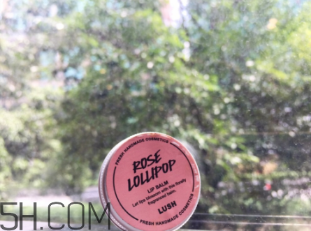 lush潤(rùn)唇膏好用嗎？lush潤(rùn)唇膏多少錢(qián)？