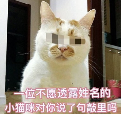 敲里lailai是什么意思？敲里lailai表情包無(wú)水印