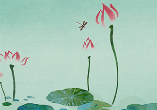 佰草世家效果真的假的？佰草世家怎么樣？