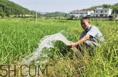 女生說抽水什么意思？女生發(fā)消息想抽水什么意思？