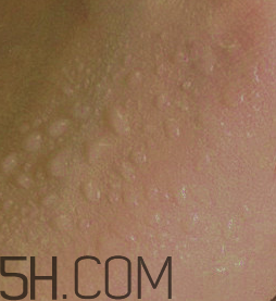 玫珂菲彩妝師摯愛粉餅怎么樣_產品評測