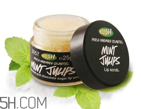 lush唇部磨砂膏好用嗎？lush唇部磨砂膏多少錢？