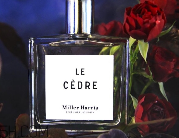 2022香水排行榜 2022香水推薦 2022香水排行榜 2022香水推薦