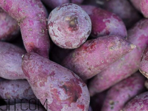 紫薯是熱性還是涼性 紫薯溫性還是寒性的 紫薯是熱性還是涼性 紫薯溫性還是寒性的