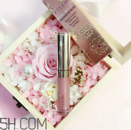 byterry玫瑰唇蜜好用嗎？byterry玫瑰唇蜜多少錢？