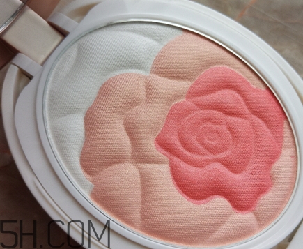 巧迪尚惠腮紅好用嗎？巧迪尚惠腮紅哪款好？