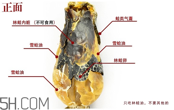 林蛙哪些部位不能吃？林蛙有什么營養(yǎng)