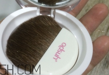 巧迪尚惠腮紅多少錢？巧迪尚惠腮紅專柜價格