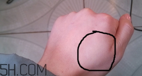 巧迪尚惠粉餅好用嗎？巧迪尚惠粉餅多少錢？