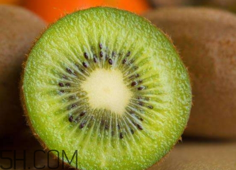 女生送獼猴桃什么意思？獼猴桃內(nèi)涵意思