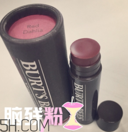 小蜜蜂有色唇膏孕婦可以用嗎？小蜜蜂有色唇膏好用嗎？