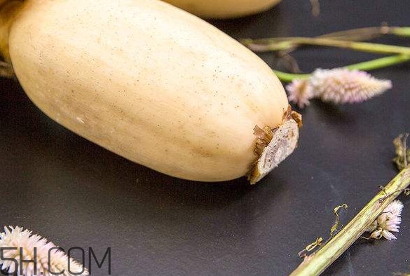 蓮藕是什么季節(jié)成熟的？蓮藕什么時(shí)候種植