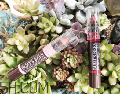 小蜜蜂唇膏筆多少錢？小蜜蜂唇膏筆很貴嗎？