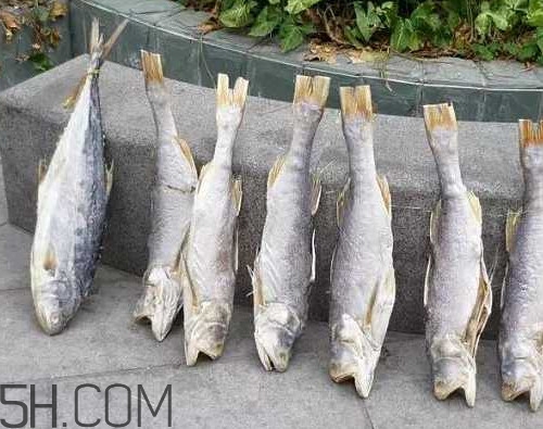 咸魚不能和什么一起吃？咸魚是什么意思