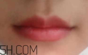 小蜜蜂口紅好用嗎？小蜜蜂口紅試色