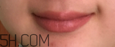 小蜜蜂口紅好用嗎？小蜜蜂口紅試色