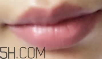 小蜜蜂口紅好用嗎？小蜜蜂口紅試色