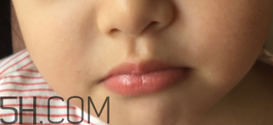 小蜜蜂口紅好用嗎？小蜜蜂口紅試色