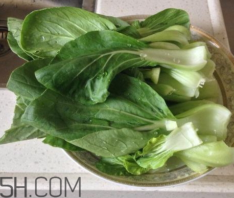 青菜是涼性還是熱性 青菜是發(fā)物嗎 青菜是涼性還是熱性 青菜是發(fā)物嗎