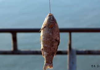 咸魚什么人不能吃？怎樣去除咸魚的咸