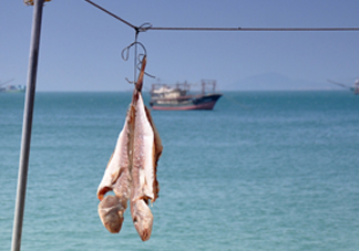 咸魚有營(yíng)養(yǎng)嗎？咸魚怎么腌制家常做法