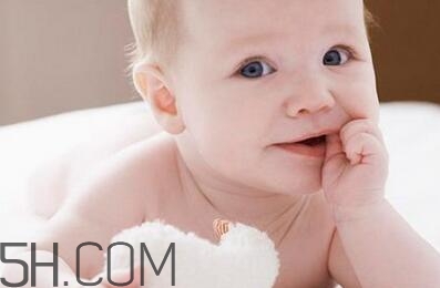 小蜜蜂潤膚露怎么樣？小蜜蜂潤膚露好用嗎？