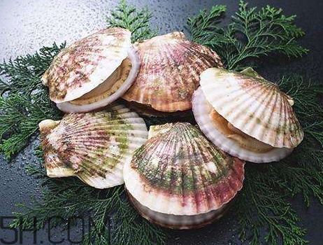 扇貝是涼性還是熱性 扇貝是發(fā)物嗎 扇貝是涼性還是熱性 扇貝是發(fā)物嗎