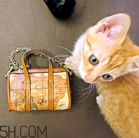 sobdeall包包什么檔次？sobdeall是輕奢品牌嗎？