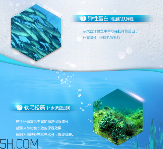 御泥坊海洋彈性蛋白礦物精華眼霜 御泥坊海洋彈性蛋白礦物精華眼霜