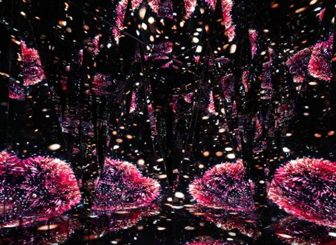 海藍(lán)之謎鎏金煥顏精華眼霜多少錢？好用嗎？