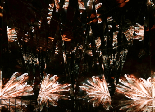 海藍之謎鎏金煥顏精華液多少錢？怎么用？