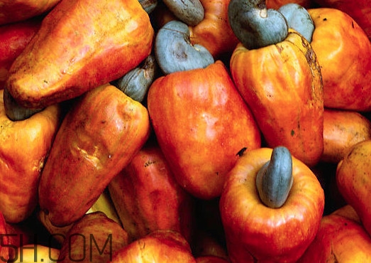 腰果什么時(shí)候成熟？腰果什么時(shí)候吃最好