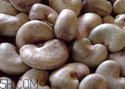 腰果有殼嗎？為什么沒有賣的腰果梨