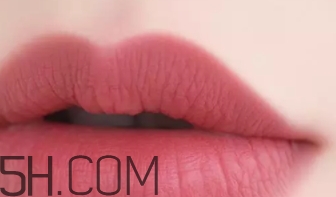 干玫瑰色口紅哪個(gè)牌子好？干玫瑰色口紅真人試色