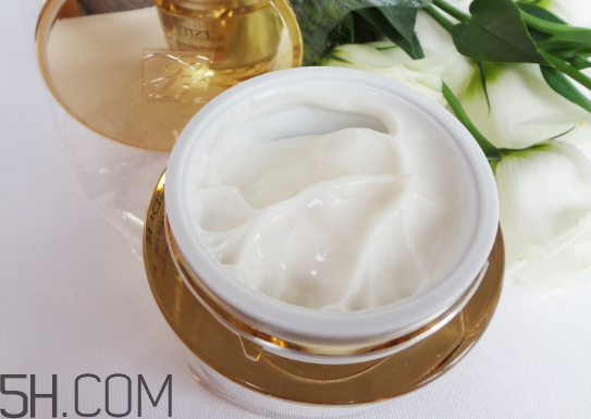 蘭蔻和雅詩蘭黛哪個好用？雅詩蘭黛萬能面霜測評