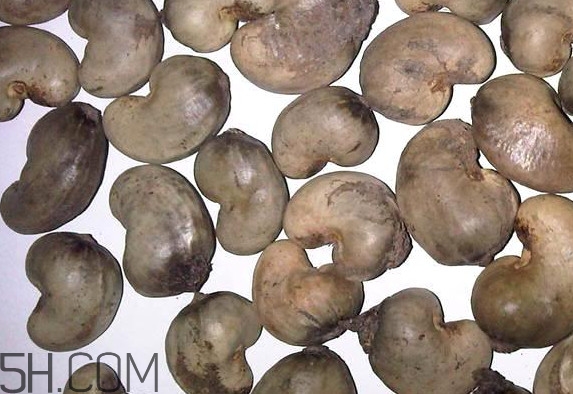 腰果每天吃多少合適？腰果不能和什么一起吃