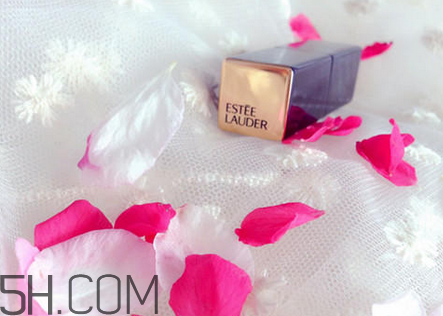 雅詩(shī)蘭黛口紅專柜價(jià)格表 雅詩(shī)蘭黛230號(hào)口紅試色