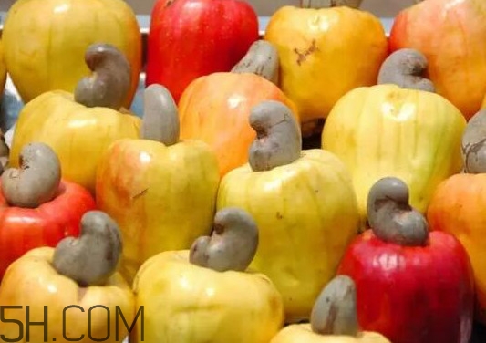 腰果梨好吃嗎？腰果梨怎么吃？