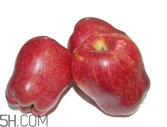 花牛蘋果是轉基因嗎？天水花牛蘋果幾月成熟