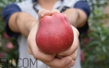 如何鑒別花牛蘋果？為什么叫花牛蘋果