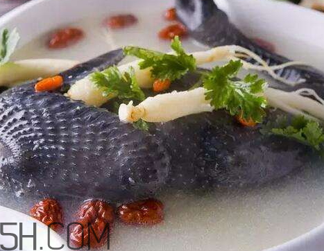 烏雞湯不能和什么一起吃 烏雞湯和什么相克 烏雞湯不能和什么一起吃 烏雞湯和什么相克