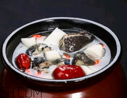 烏雞湯放什么食材好 烏雞湯用公雞還是母雞 烏雞湯放什么食材好 烏雞湯用公雞還是母雞