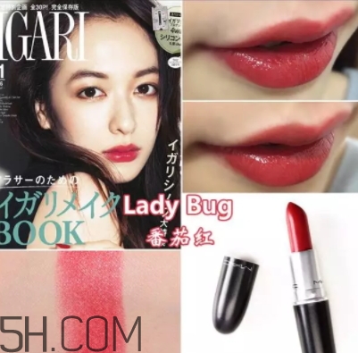 mac番茄紅口紅適合黃皮嗎？