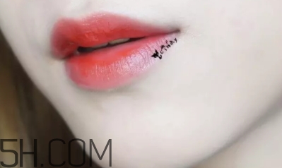 mac lady bug好看嗎？lady bug試色